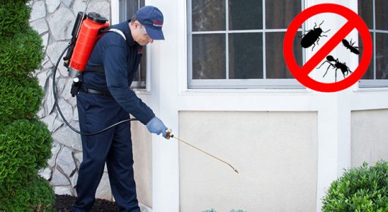 Çatalpınar Kene İlaçlama böcek ilaçlama ve haşere kontrolü — ilaclama-tr.com